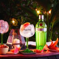 Tanqueray no 10